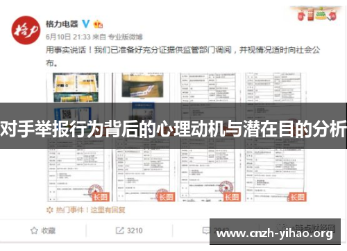 对手举报行为背后的心理动机与潜在目的分析