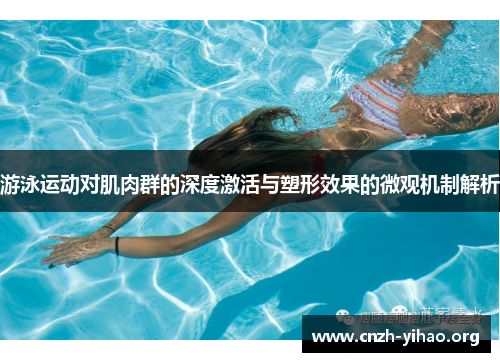 游泳运动对肌肉群的深度激活与塑形效果的微观机制解析