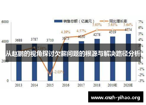 从赵鹏的视角探讨欠薪问题的根源与解决路径分析
