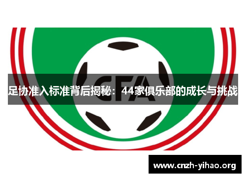 足协准入标准背后揭秘：44家俱乐部的成长与挑战