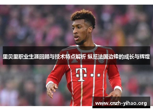 里贝里职业生涯回顾与技术特点解析 纵览法国边锋的成长与辉煌