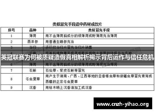 英冠联赛为何被质疑造假真相解析揭示背后运作与信任危机 英冠联赛为何被质疑造假真相解析揭示背后运作与信任危机