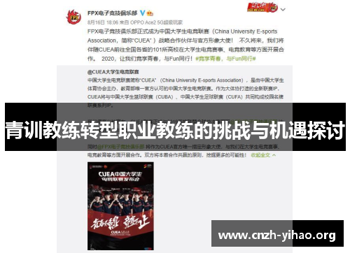 青训教练转型职业教练的挑战与机遇探讨