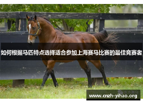 如何根据马匹特点选择适合参加上海赛马比赛的最佳竞赛者